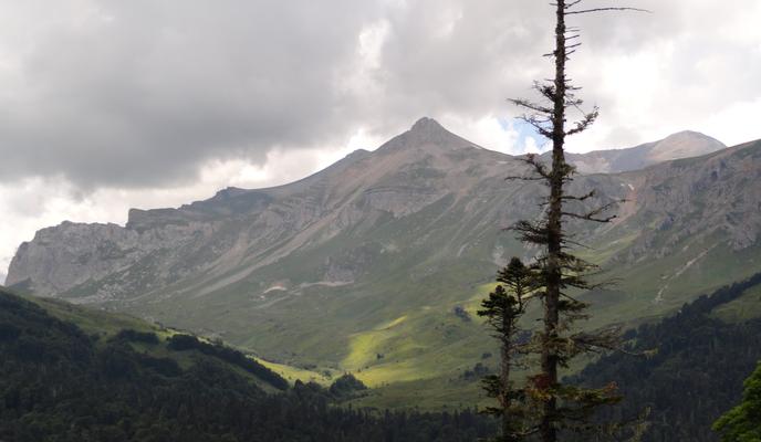 Bitrix 168757: DSC01256.JPG