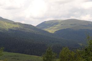 Bitrix 157222: DSC01283.JPG