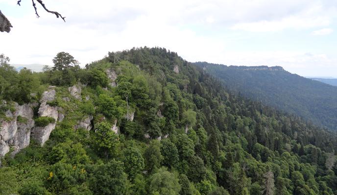 Bitrix 185740: DSC01299.JPG