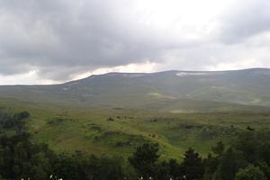 Bitrix 172226: DSC01317.JPG
