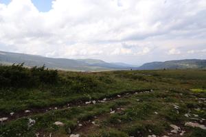 Bitrix 158060: DSC01323.JPG