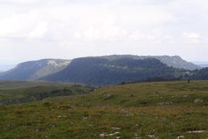 Bitrix 172551: DSC01331.JPG