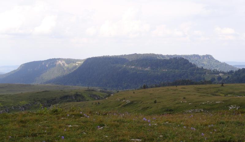 Bitrix 172551: DSC01331.JPG