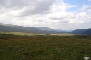 Bitrix 169385: DSC01339.JPG