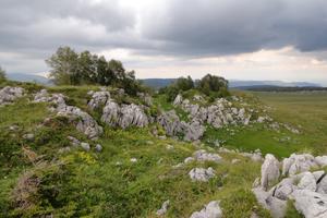 Bitrix 180162: DSC01347.JPG