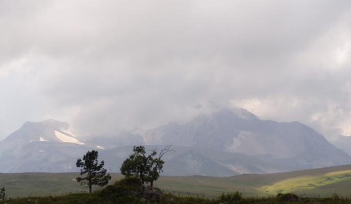 Bitrix 168291: DSC01350.JPG