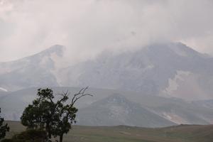 Bitrix 164339: DSC01356.JPG