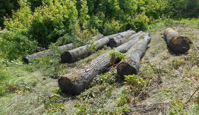 Bitrix 121278: DSCN0645_3_.jpeg