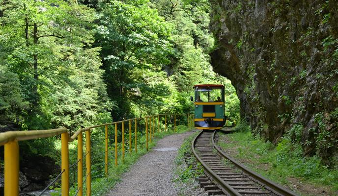 Bitrix 97414: DSC_0639.jpeg