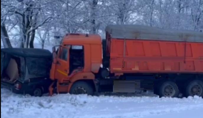 Bitrix 129839: DTP.jpg