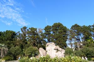 Bitrix 108858: Dendrariy3.jpg