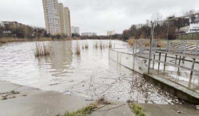 Bitrix 146558: DprfdpObmYo.jpg