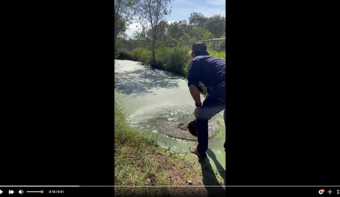 Bitrix 110235: Ekstremal-primalil-krokodila.jpg