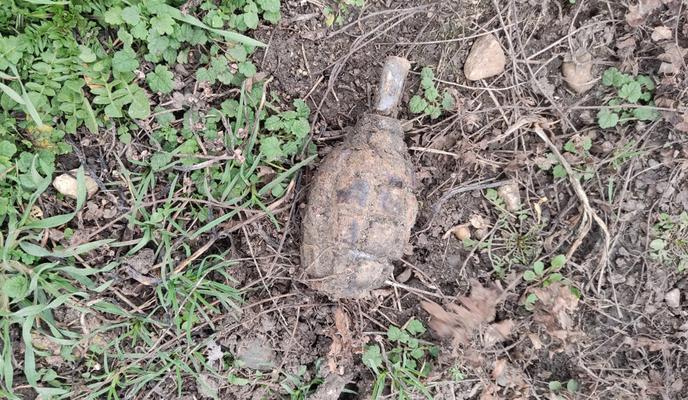 Bitrix 109721: F1_pavlovskay.jpg