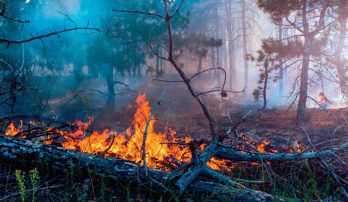 Bitrix 117564: FOTO.jpg