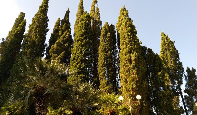 Bitrix 110821: Gagra-_1_.jpg