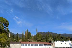 Bitrix 109415: Gagra.jpg