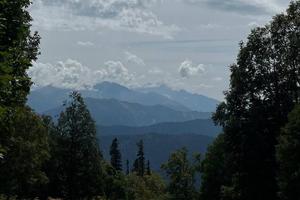 Горы, лес, Адыгея, Гузерипль 1