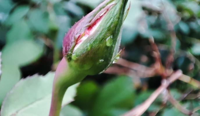 Bitrix 171063: IMAGE-2025_04_29-14_39_54.jpg