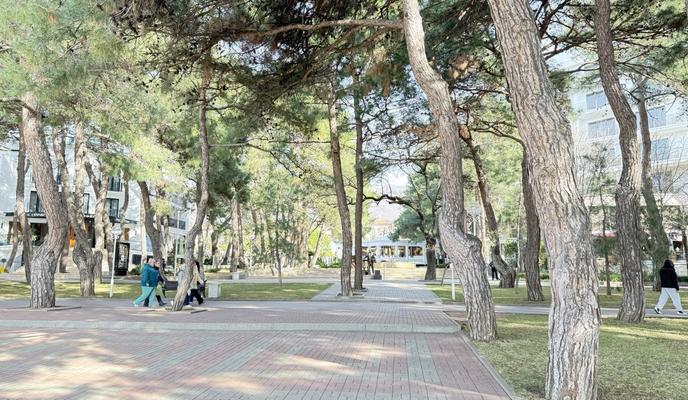 Bitrix 184870: IMAGE-2026_02_12-02_16_25.jpg