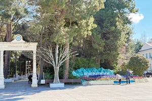 IMAGE 2026-03-08 01_34_33