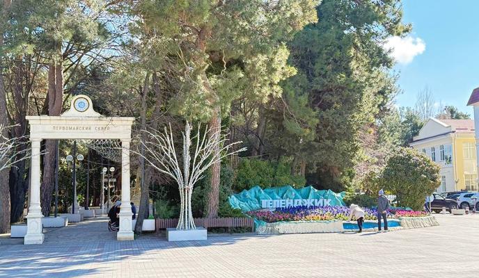 IMAGE 2026-03-08 01_34_33