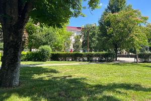IMG-20260701-WA0031