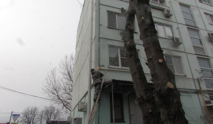 Bitrix 129464: IMG_1402.JPG