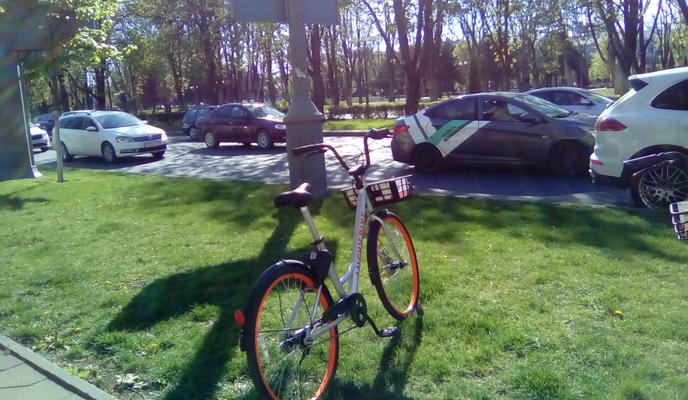 Bitrix 93945: IMG_20200413_155702.jpg