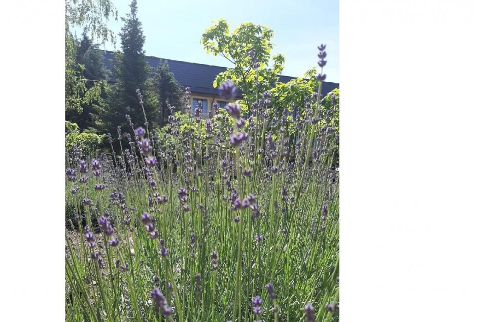 Bitrix 79105: IMG_20200616_WA0018.jpg