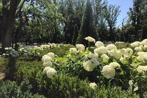 Bitrix 117818: IMG_20200628_WA0004.jpg