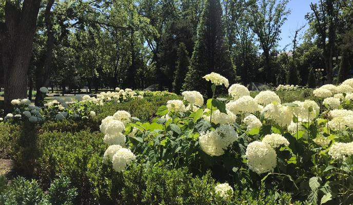 Bitrix 117818: IMG_20200628_WA0004.jpg