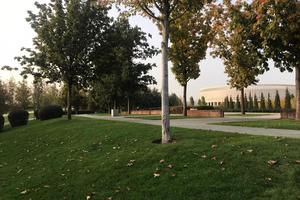 Bitrix 124388: IMG_20201028_WA0037.jpg