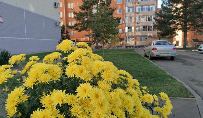 Bitrix 109280: IMG_20201103_WA0011.jpg