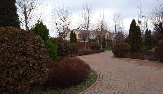 Bitrix 112272: IMG_20210205_111449_1.jpg