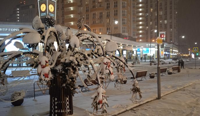 Bitrix 90245: IMG_20210206_183443.jpg