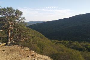 Bitrix 139727: IMG_20210503_181833-_1_.jpg