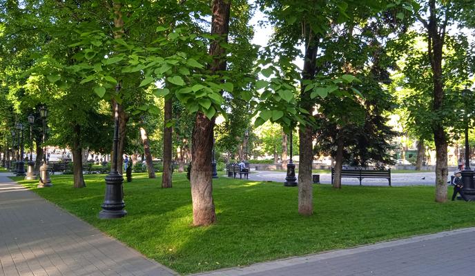 Bitrix 97573: IMG_20210602_183148.jpg