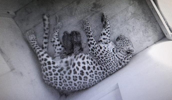 Bitrix 100772: IMG_20210731_105918_580.jpg