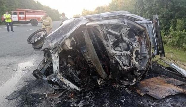 Bitrix 100806: IMG_20210801_105724_318.jpg