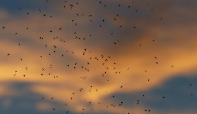 Bitrix 103106: IMG_20210905_125050_826.jpg