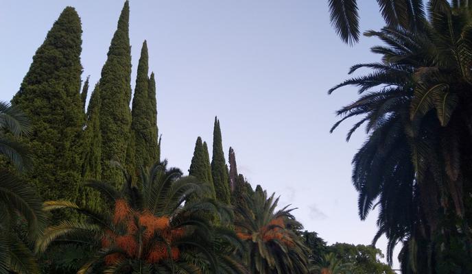 Bitrix 106605: IMG_20210924_191238.jpg