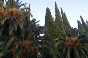Bitrix 112355: IMG_20210924_191245.jpg