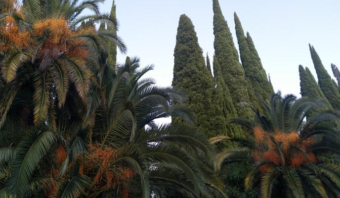 Bitrix 112355: IMG_20210924_191245.jpg