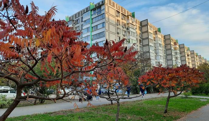 Bitrix 108179: IMG_20211102_WA0011.jpg