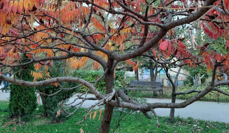 Bitrix 107779: IMG_20211103_015353.jpg