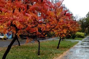 Bitrix 160591: IMG_20211103_015730.jpg