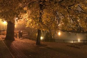 Bitrix 162521: IMG_20211106_WA0003.jpg