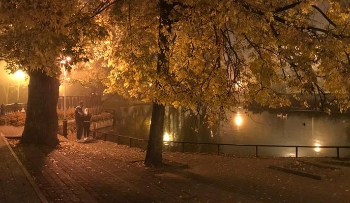 Bitrix 162521: IMG_20211106_WA0003.jpg