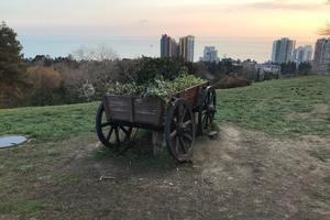 Bitrix 112433: IMG_20211221_WA0054.jpg